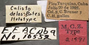 Media type: image;   Entomology 21991 Aspect: labels